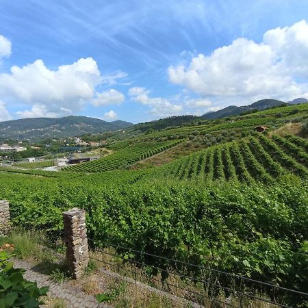 דירות ססטרי לבאנטה Al Vigneto מראה חיצוני תמונה