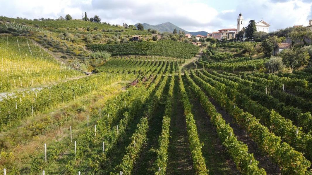 דירות ססטרי לבאנטה Al Vigneto מראה חיצוני תמונה